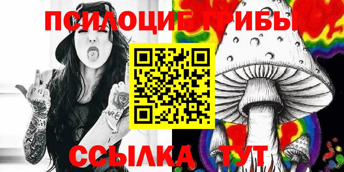 Тында  Галлюциногенные грибы MAGIC MUSHROOMS  Вход с VPN 
